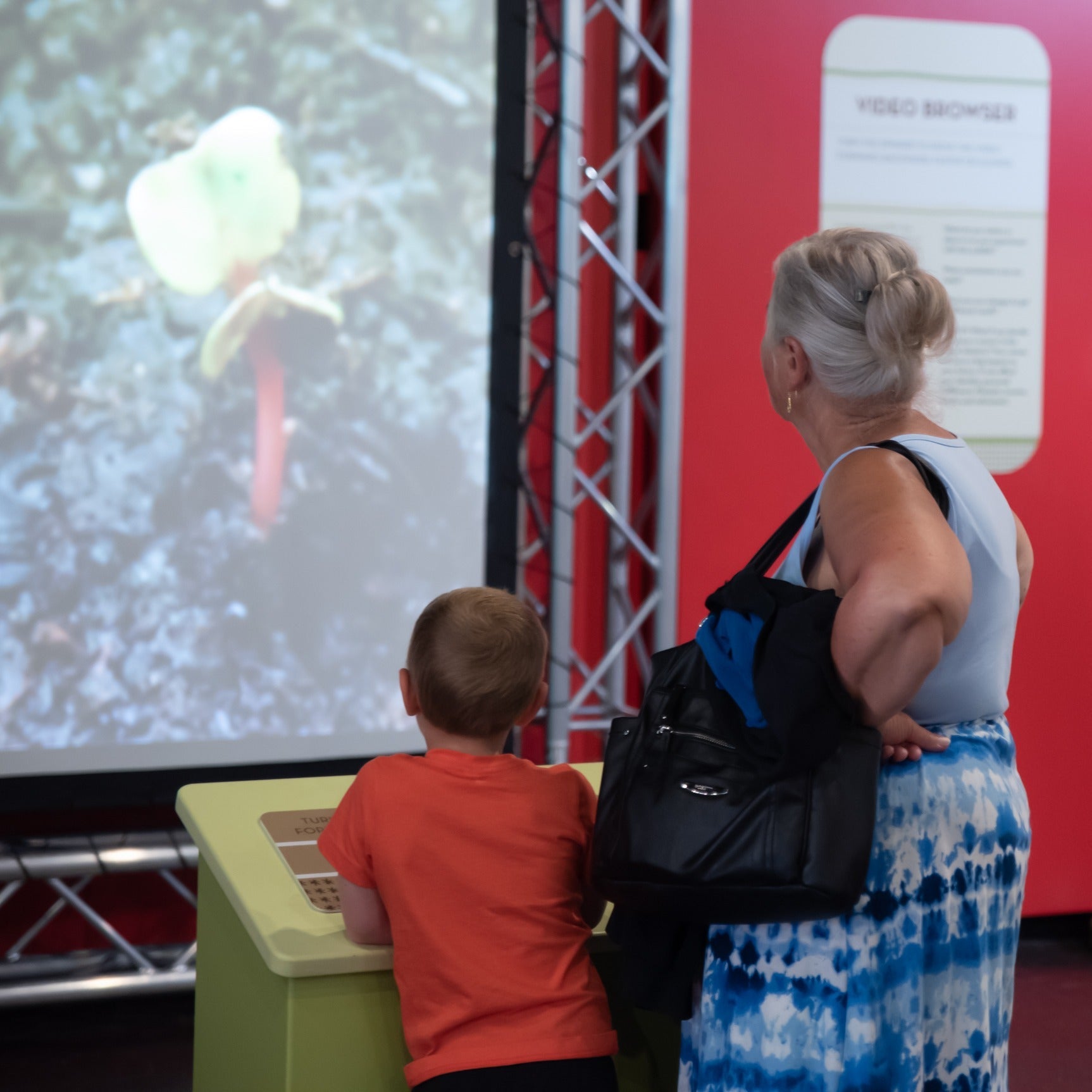 OH WOW! to Offer Free Grand Person Admission on Wednesdays in 2026