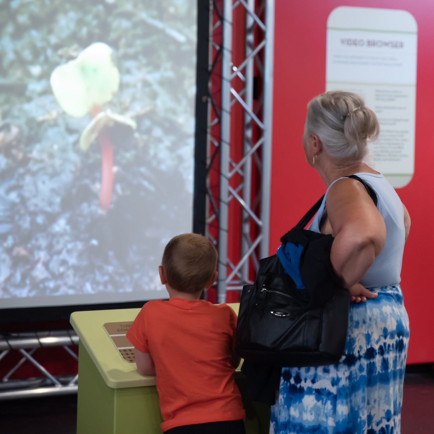 OH WOW! to Offer Free Grand Person Admission on Wednesdays in 2026